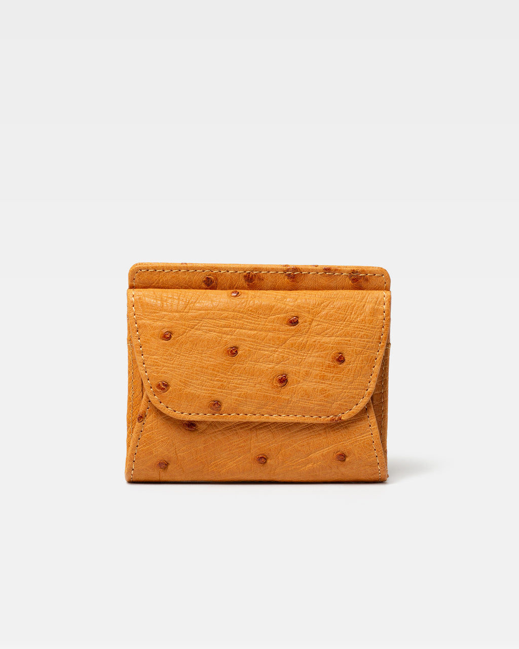 オーストリッチ ミニ財布